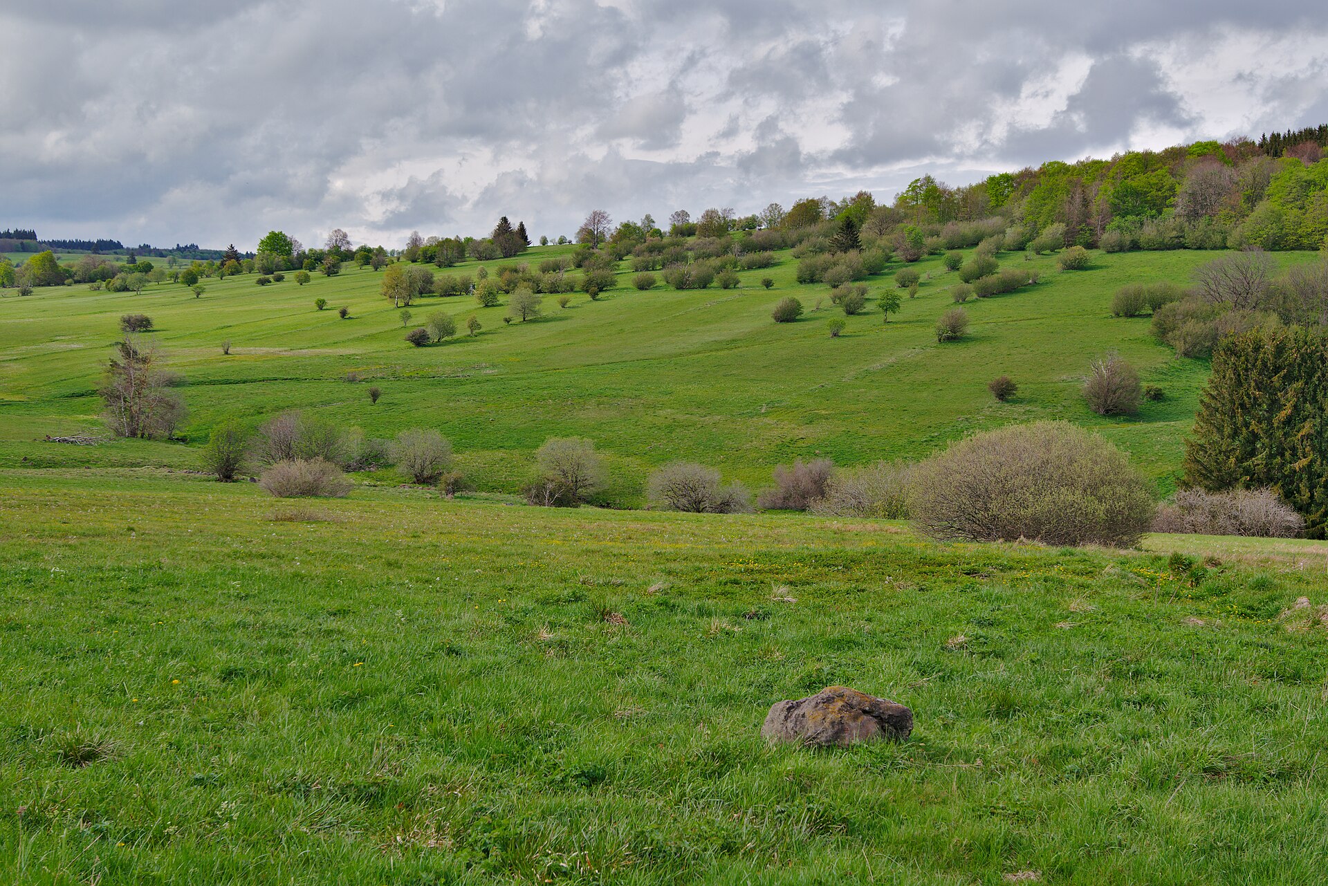 Offene Hochfläche der Langen Rhön